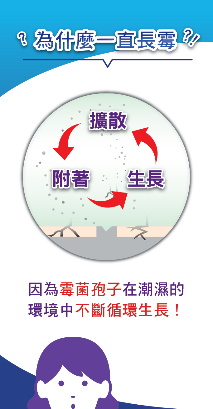 為什麼一直長霉？因為霉菌孢子在潮濕的 環境中不斷循環生長!